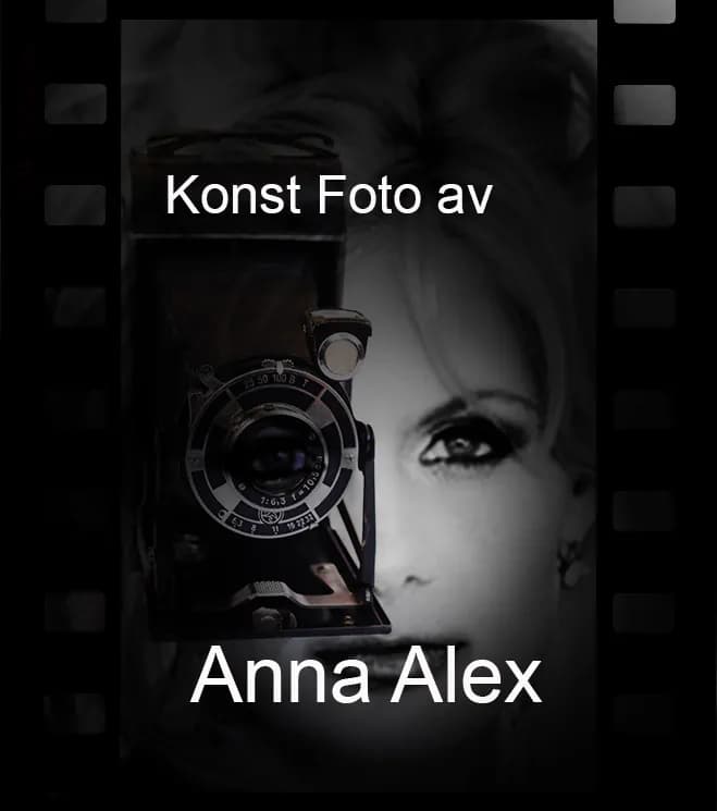 Anna Alex konst