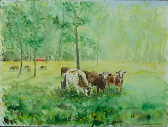 Betande kor i värmländsk skogsglänta – Watercolor by Ivan Gorozhankin
